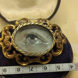 victorian lover's eye brooch